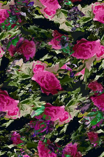 1053527-富贵牡丹