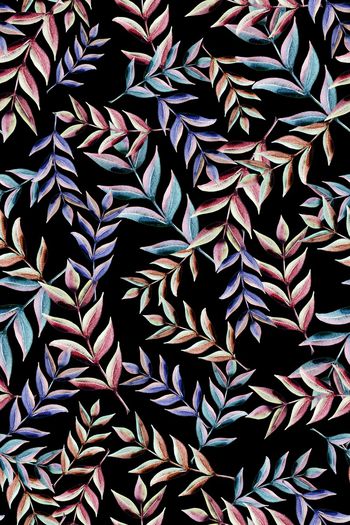 1053683-彩色叶子 1804507