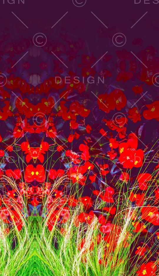 数码华亿平台印花华亿平台图片