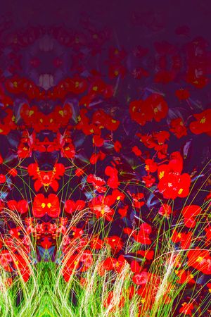 数码华亿平台印花华亿平台图片