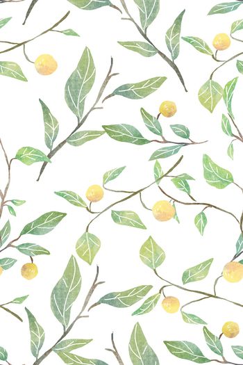 1053944-水彩植物1（白）