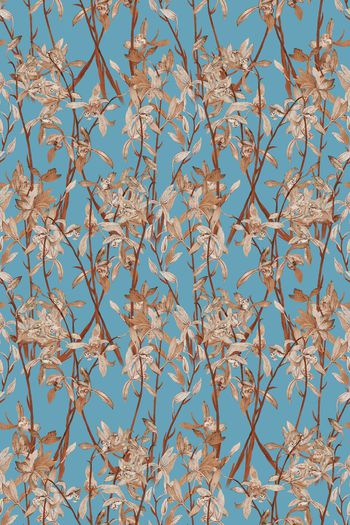 1054620-3月2018162-1