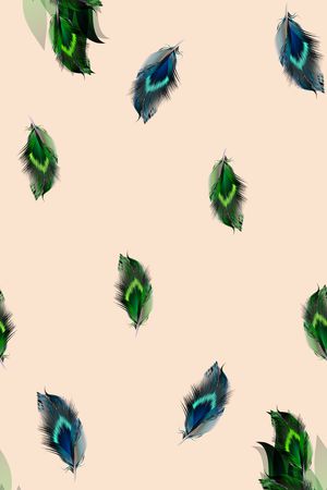 羽毛印花华亿平台图片