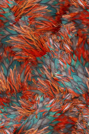 肌理印花华亿平台图片