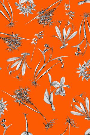 植物印花华亿平台图片