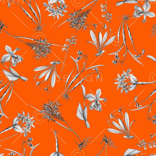 植物印花华亿平台图片