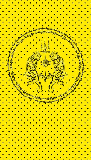 1056017-2只老虎-黄