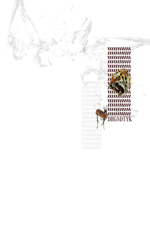 艺术印花华亿平台图片