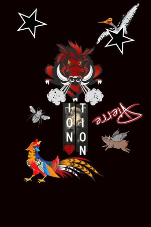 五角星印花华亿平台图片