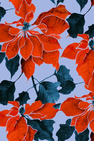 数码华亿平台印花华亿平台图片