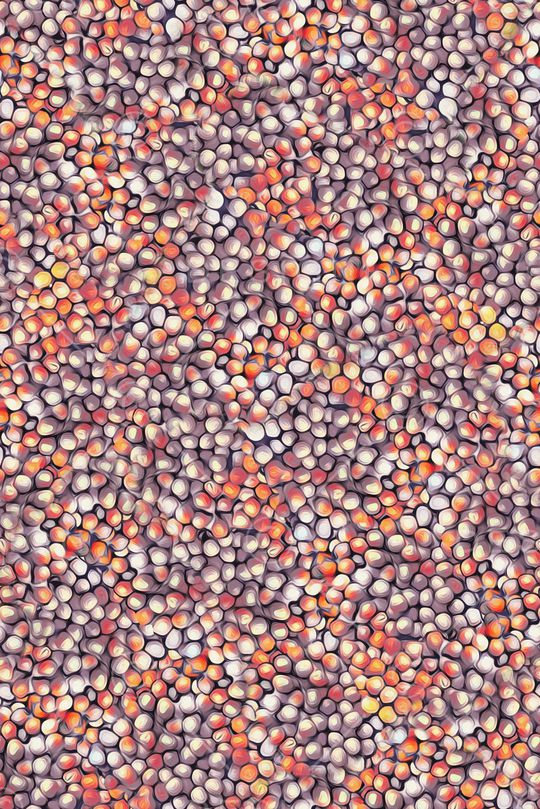 条纹印花华亿平台图片