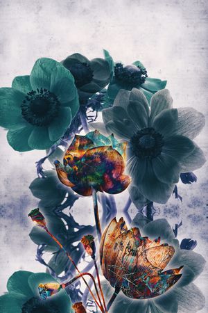 数码华亿平台印花华亿平台图片