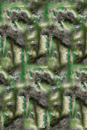 植物印花华亿平台图片