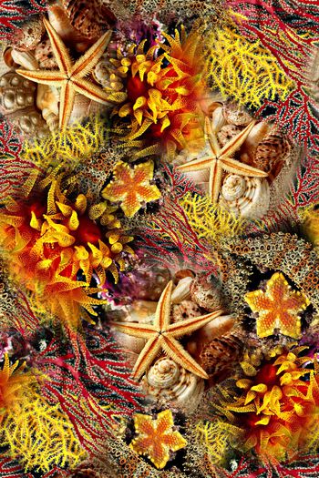 数码华亿平台印花华亿平台图片