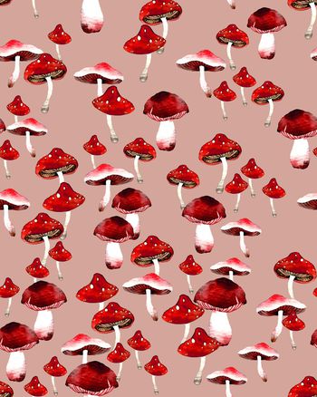 1057190-ADCSSD1072-2