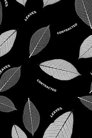 清爽男装印花华亿平台图片