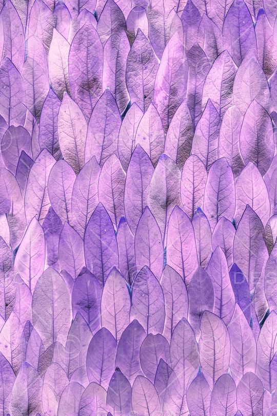 肌理印花华亿平台图片