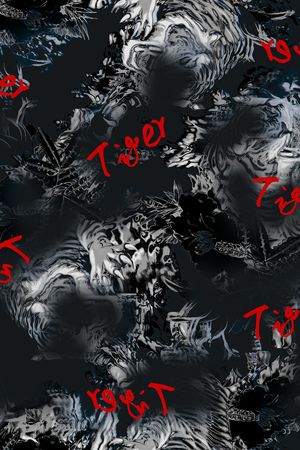 数码华亿平台印花华亿平台图片