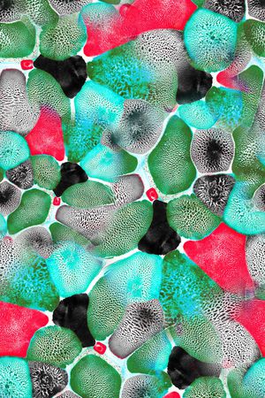 数码华亿平台印花华亿平台图片