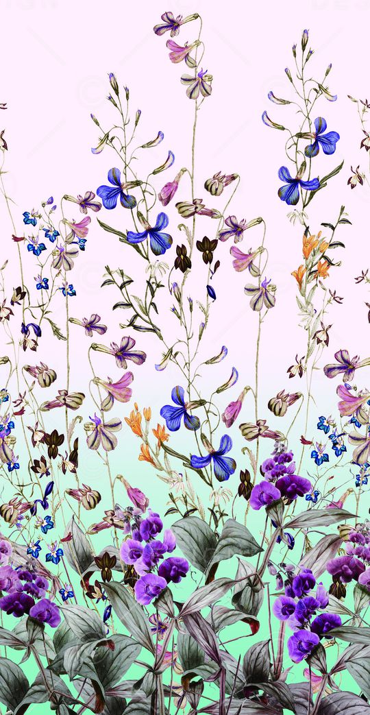 淑女印花华亿平台图片