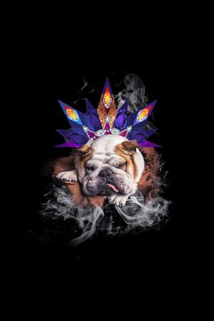 潮牌印花华亿平台图片