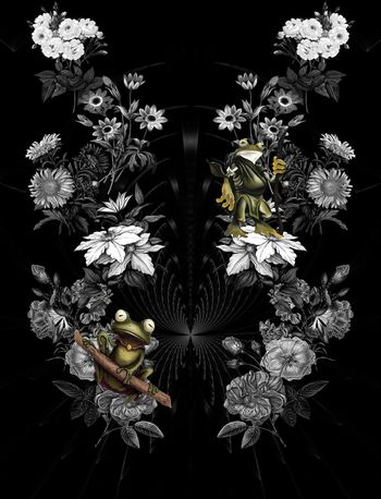 青蛙印花华亿平台图片