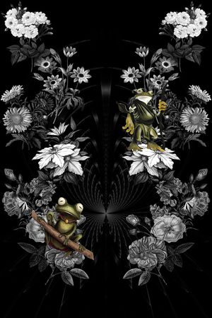 青蛙印花华亿平台图片