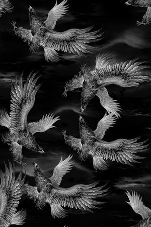 黑白华亿平台印花华亿平台图片