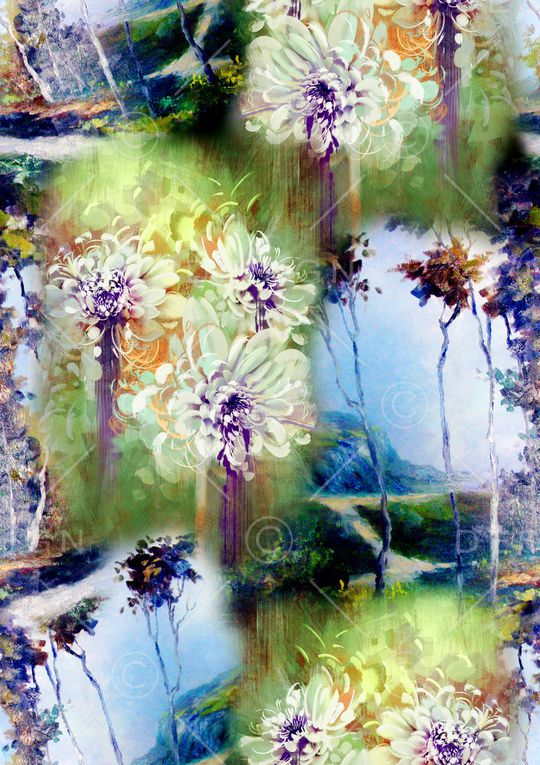 数码华亿平台印花华亿平台图片