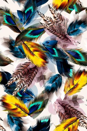 羽毛印花华亿平台图片