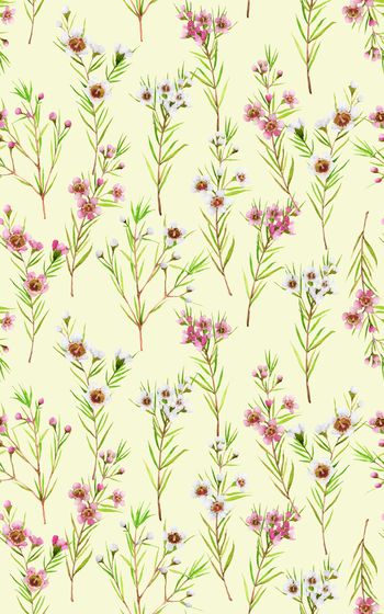 1060043-YSA2101328-2