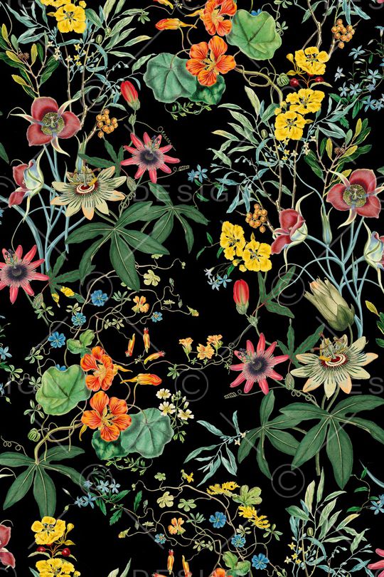 植物印花华亿平台图片