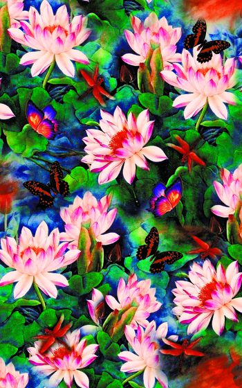 1060509-L-00414荷花