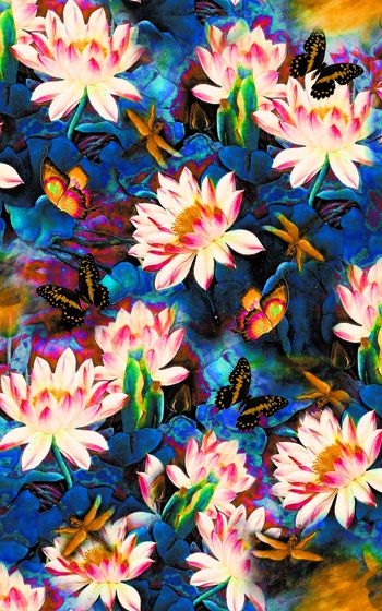 1060516-L-00414荷花蓝