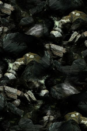 男装印花华亿平台图片