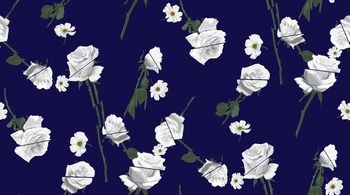 1060677-ABZSSD1616-1