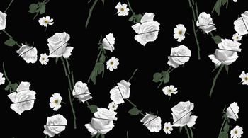 1060696-ABZSSD1616-3