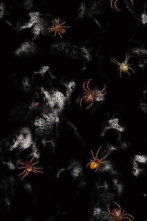 蜘蛛印花华亿平台图片