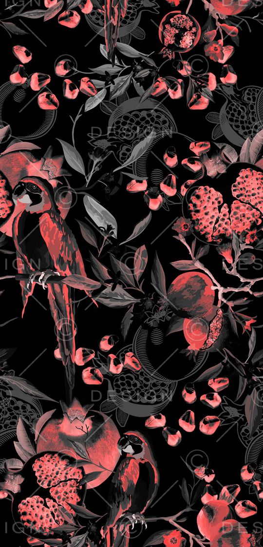 鹦鹉印花华亿平台图片