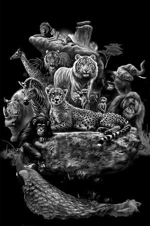 动物印花华亿平台图片