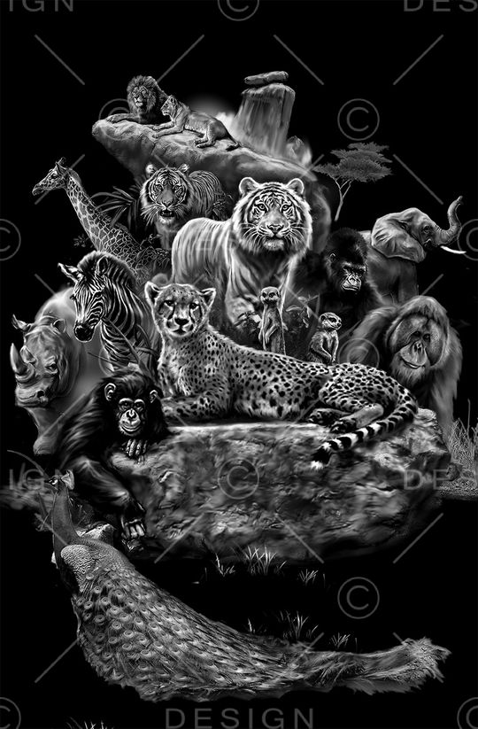 动物印花华亿平台图片