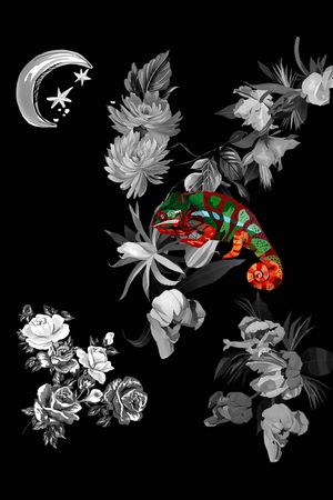 动物花卉印花华亿平台图片