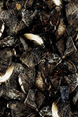 肌理印花华亿平台图片