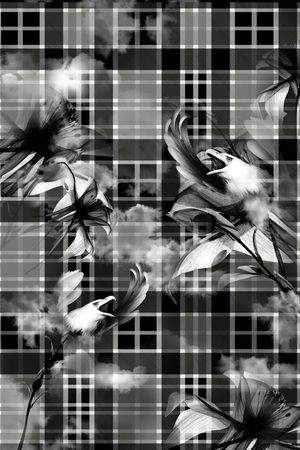 黑白华亿平台印花华亿平台图片