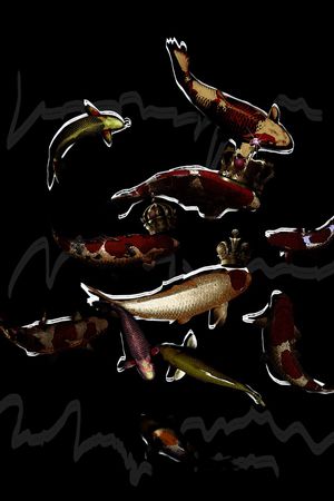 鱼印花华亿平台图片