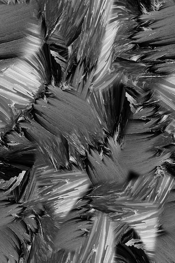 1061810-FLZ18-5-38....