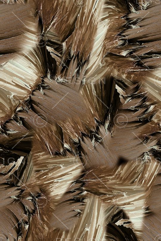 肌理印花华亿平台图片