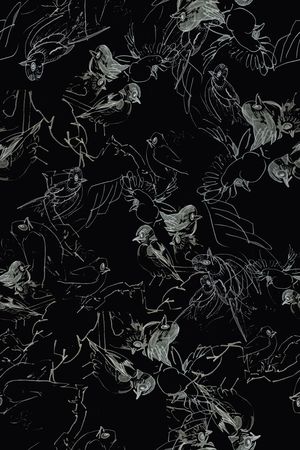 比翼鸟印花华亿平台图片