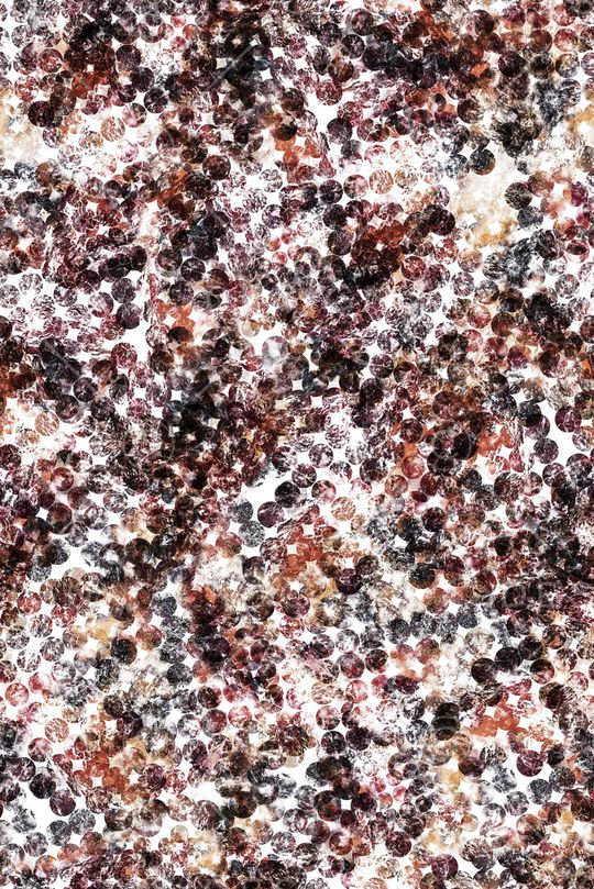 条纹印花华亿平台图片