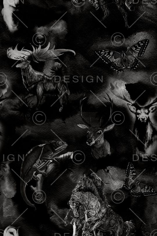 Fei-男装印花华亿平台图片